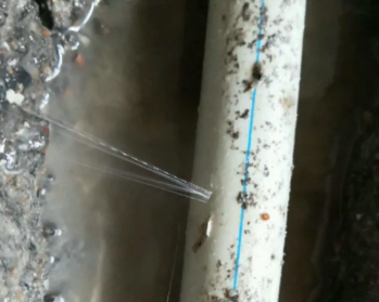 西藏卫生间测漏水多少钱